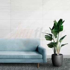 Dinarsu Moonlight Elite 4439 Duvardan Duvara Tufting Halı