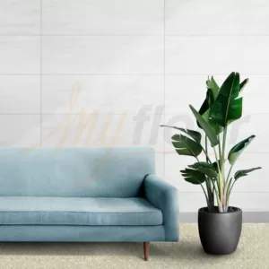 Dinarsu Moonlight Elite 4436 Duvardan Duvara Tufting Halı